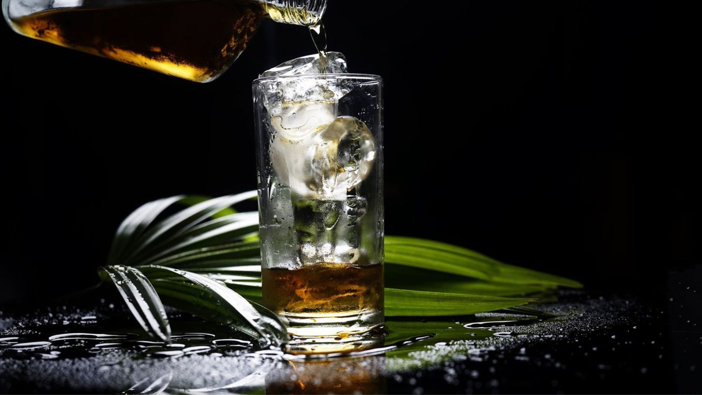 The Highball Glass
